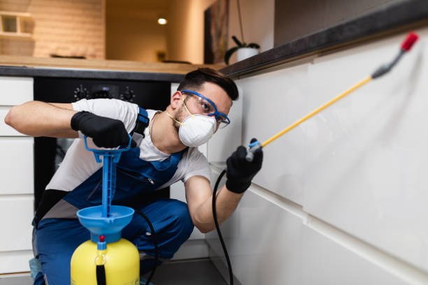 Best Emergency Pest Control  in Pebble Creek, FL