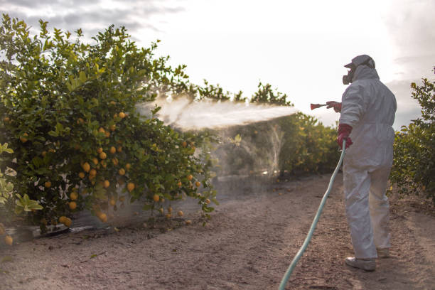 Pebble Creek, FL Pest Control Company